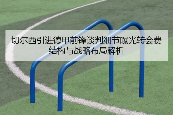切尔西引进德甲前锋谈判细节曝光转会费结构与战略布局解析